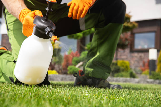 Best Wildlife Control Services  in Ridgway, PA