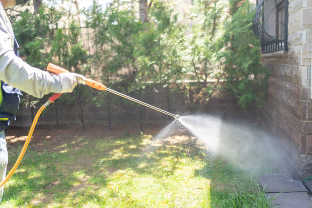 Best Insect Control  in Ridgway, PA