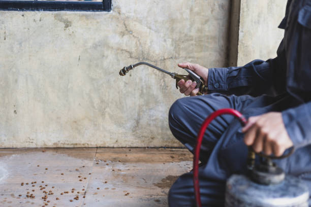 Best Termite Control Services  in Ridgway, PA